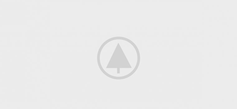 wood-gallery-placeholder-5 wood-gallery-placeholder-5